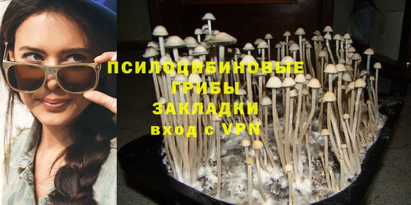 мет Арсеньев